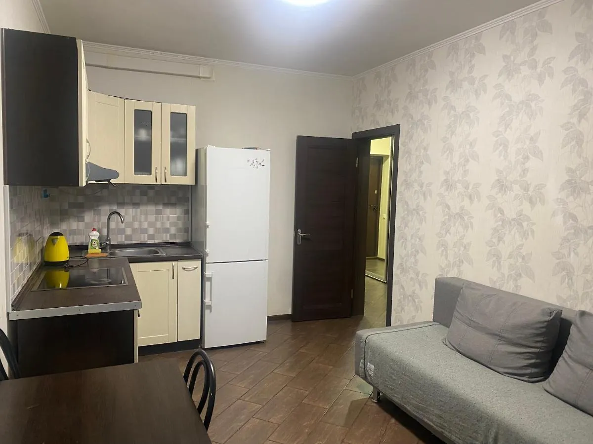 Apartment On Akhmatovoyi 32/18 キエフ